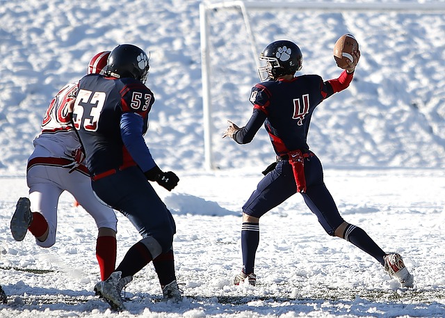 引进托莫里 引进托莫里